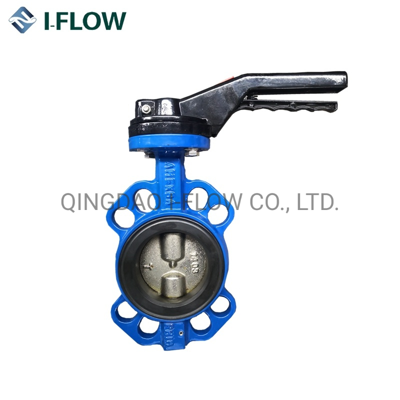 Cast Iron Steel Full PTFE Lined Flange End Wafer Type Butterfly Valve