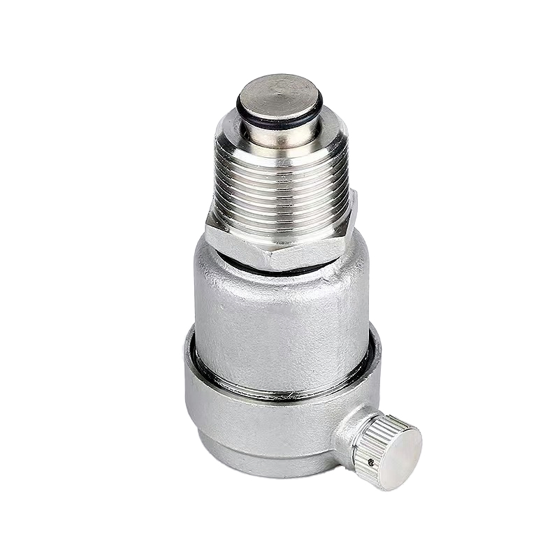 Stainless Steel Automatic Air Vent Valve Pressure Relief Valve for Water Heater