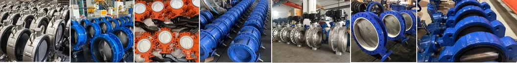 Butterfly Valves