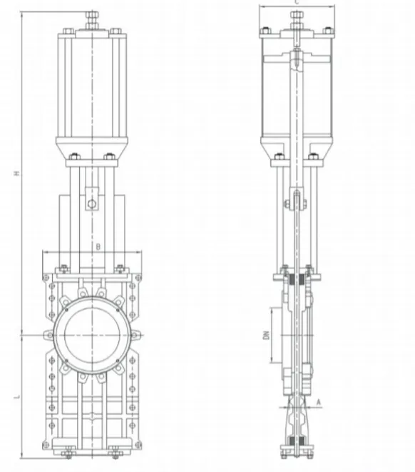 Detailed Dimensions Diagram