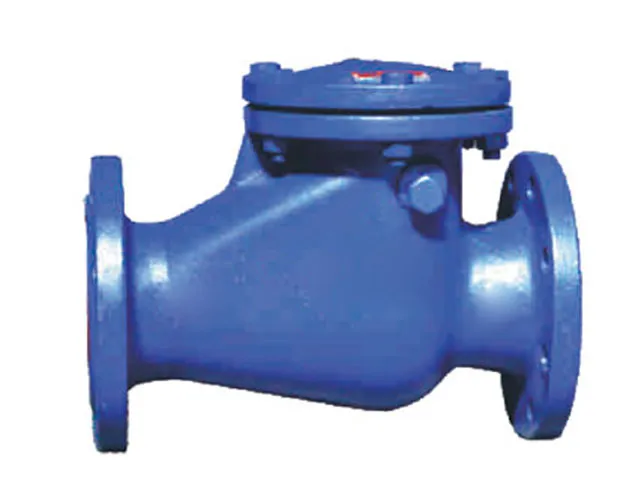 Check Valve Detail 1