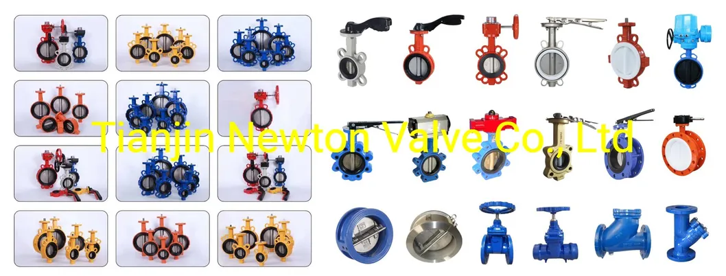 Butterfly Valve Display
