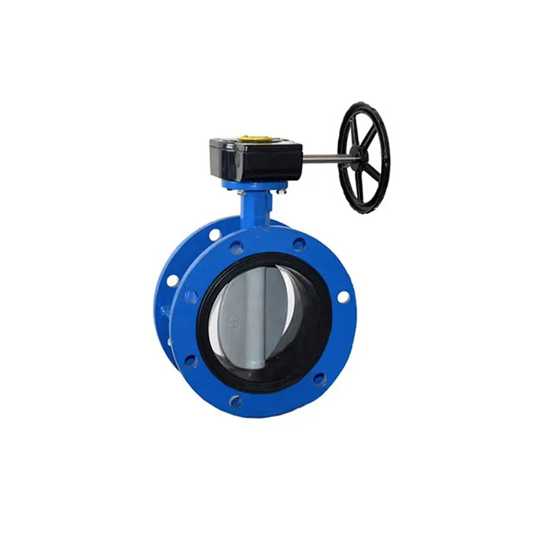 Dx Energy Industry Use Stainless Steel Disc Flange Butterfly Valve