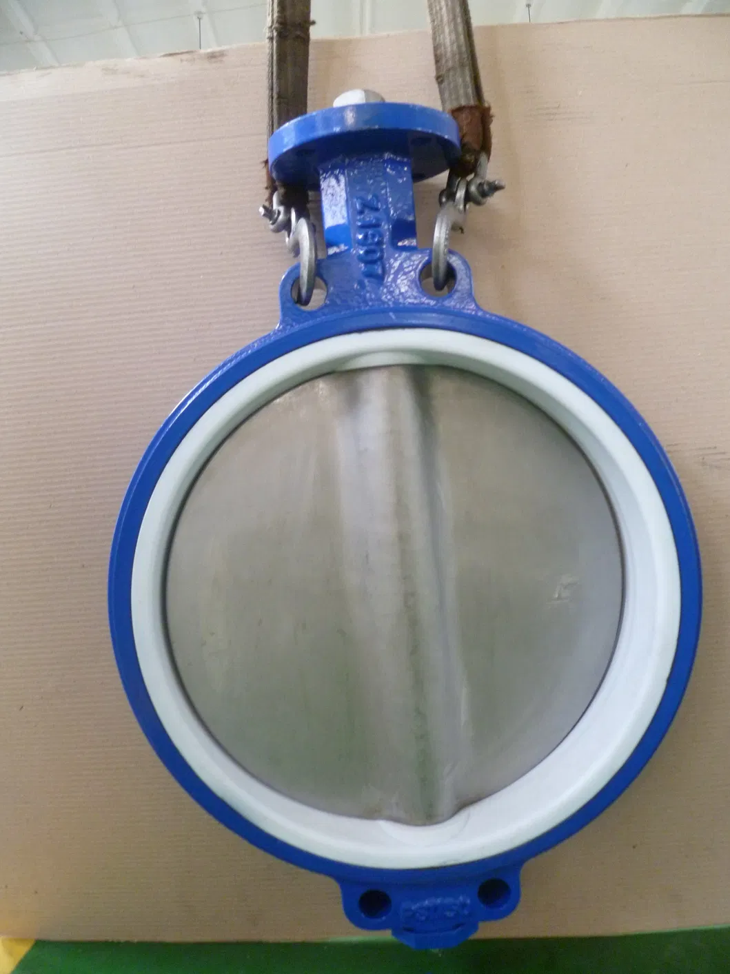 Butterfly Valve 9
