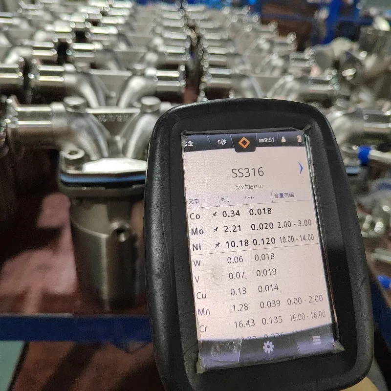 Sanitary Valve Detail