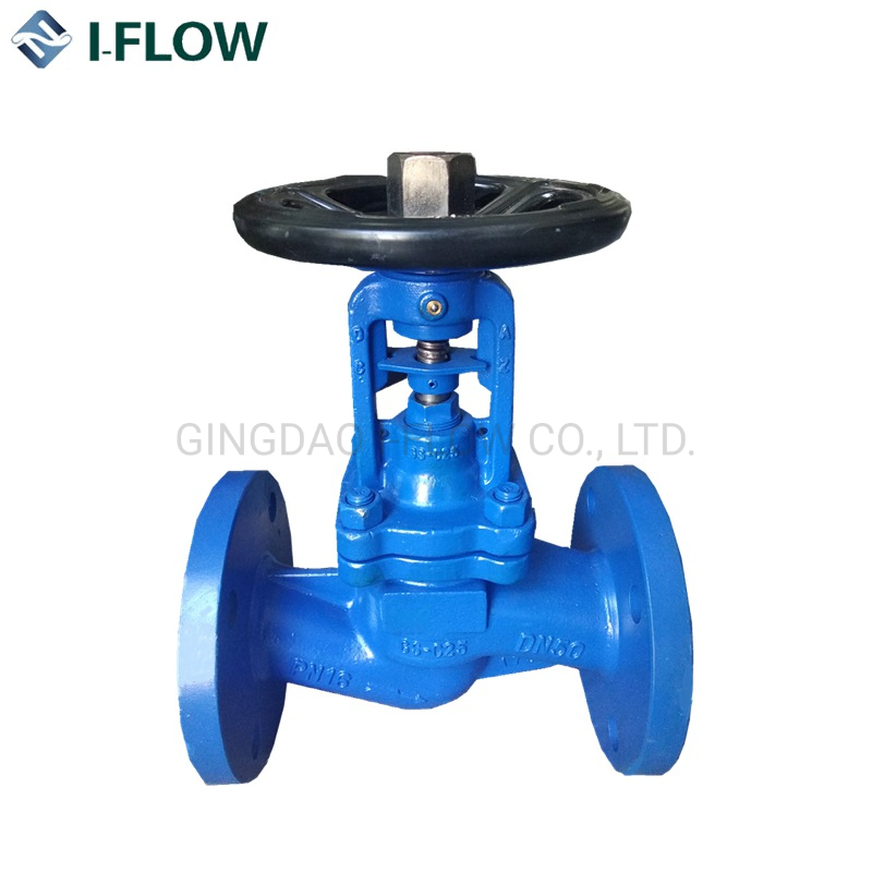 Angle Water Valve Cast Iron/Cast Steel Pn16 Steam Bellow Seal Globe Valve