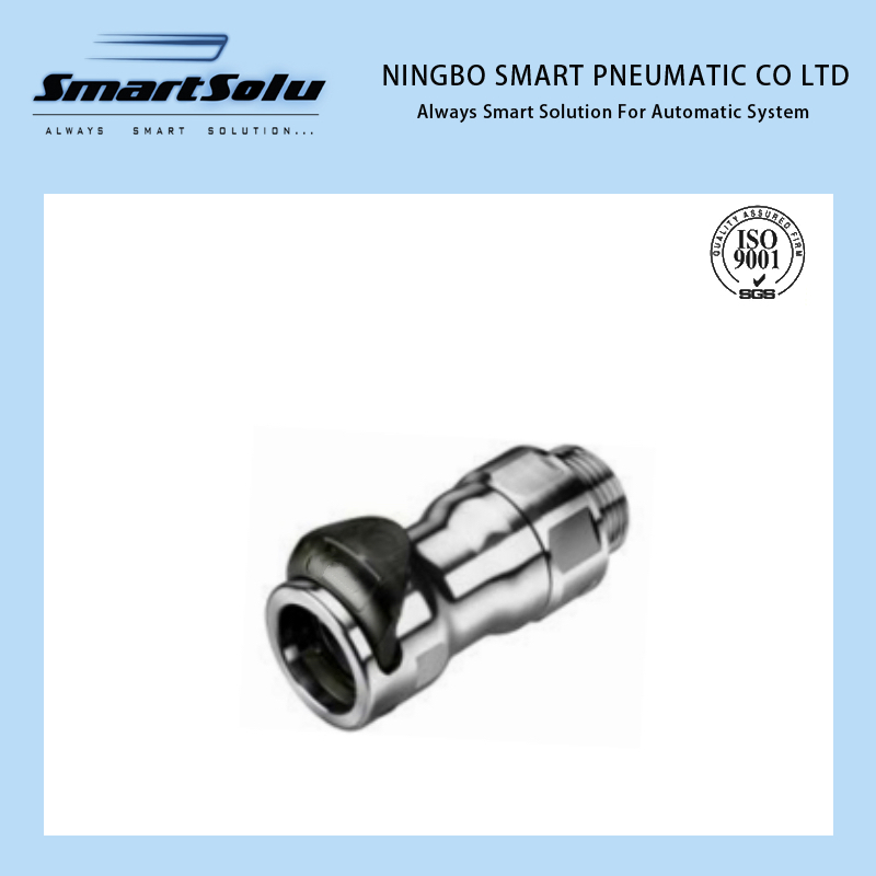 Lq8 Series Brass Quick Disconnect Straight Thread G/BSPP Cooling Push-to-Connect Coupling Body