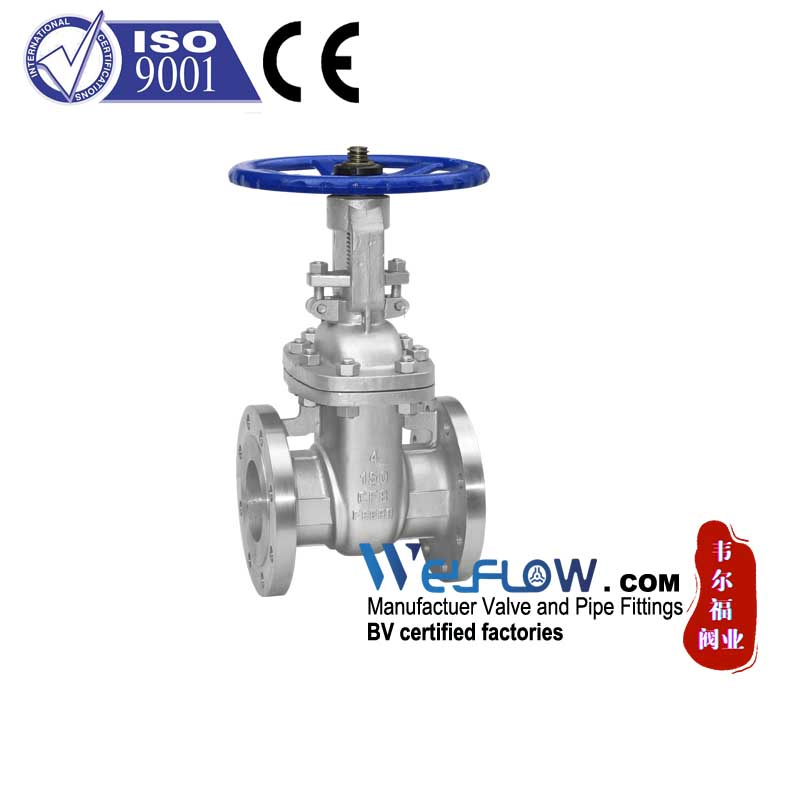 Xxnx SS304 201 Stainless Steel H71W DN65 Pn16 Pn25 3/8 DN15-DN100 Pn25 8 Inch Non Return One Way Disc Wafer Single Plate Flange Spring Check Valve