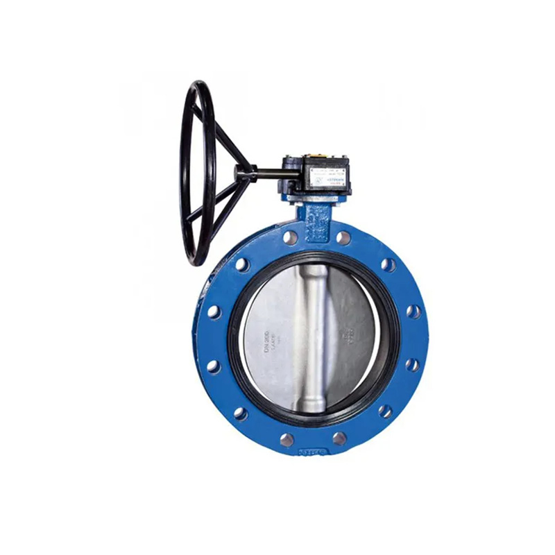 Dx Energy Industry Use Stainless Steel Disc Flange Butterfly Valve