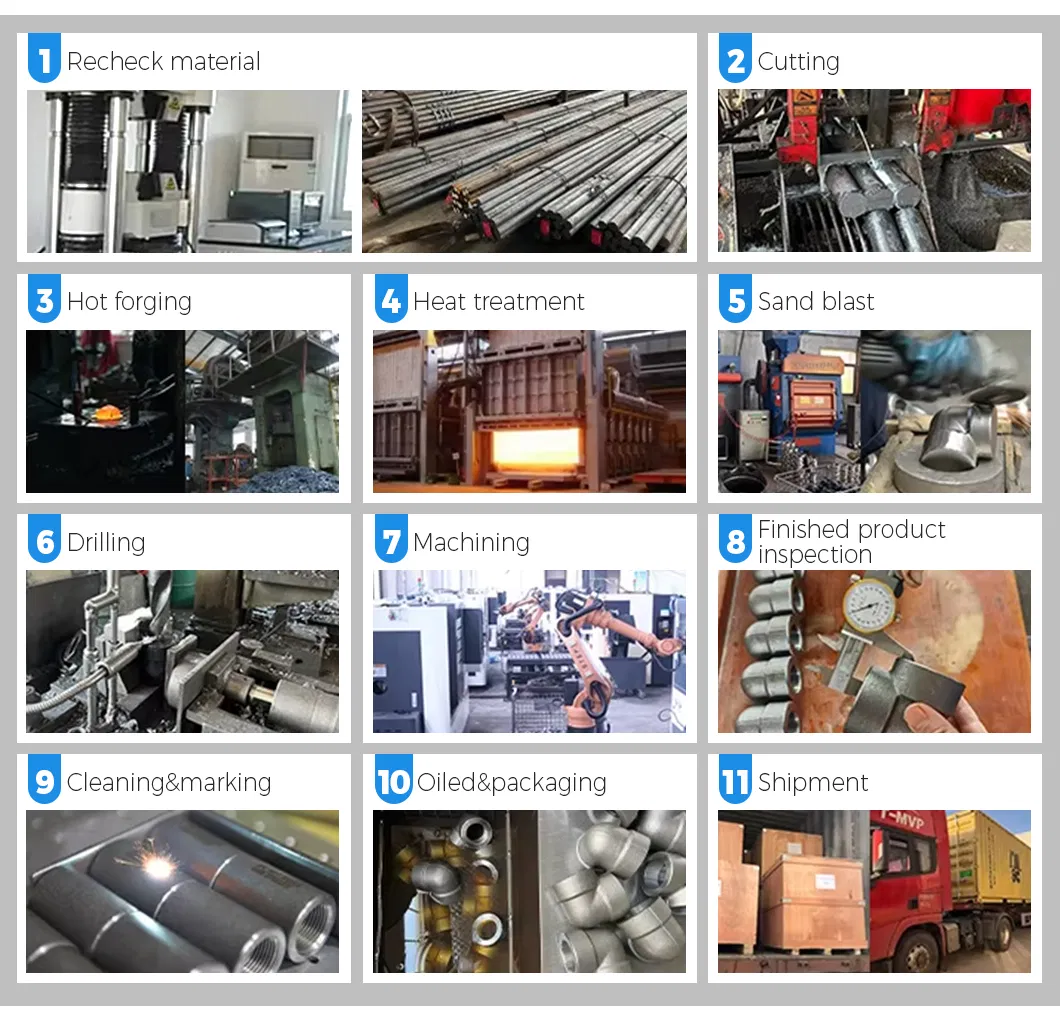 Carbon Steel Branch Outlet Fitting 6