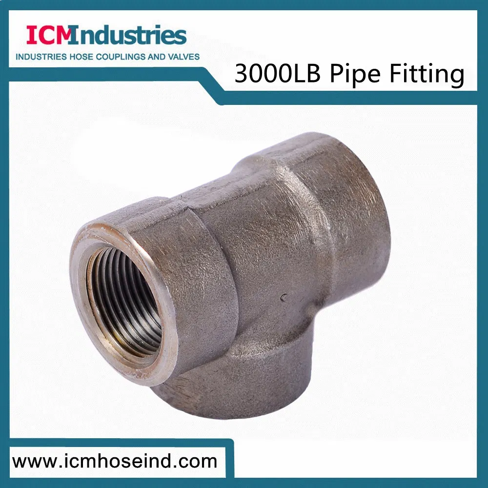 Forged Carbon Steel 3000 Lb Fittings