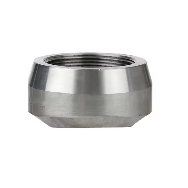 China Forged Stainless Steel Weldolet Sockolet Fittings for High Pressure Systems