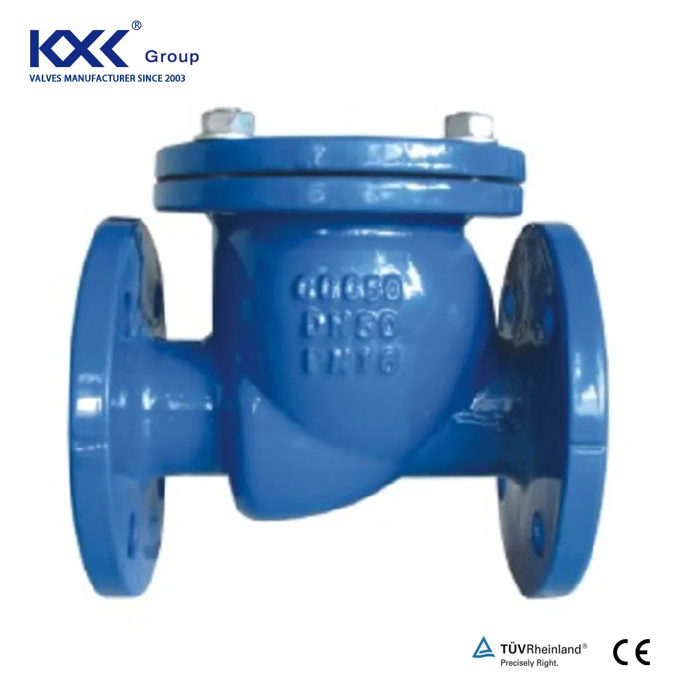 Pn16 Duction Cast Iron Body Flang Silence Double Plate Swing Lift Ball Type Non Return Valve Check Valve