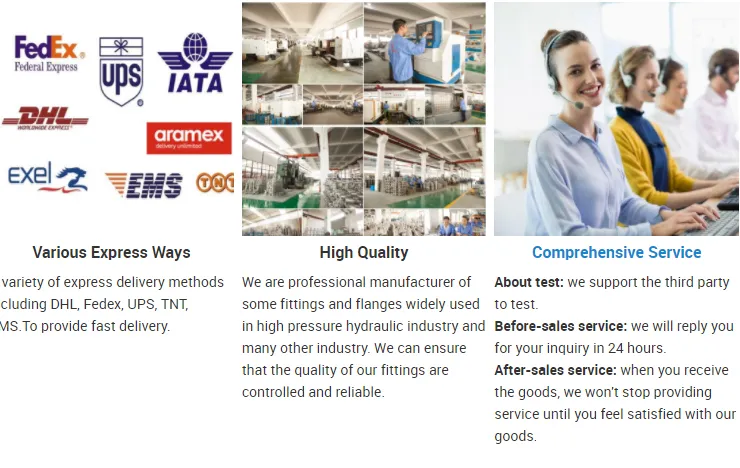 Professional Service