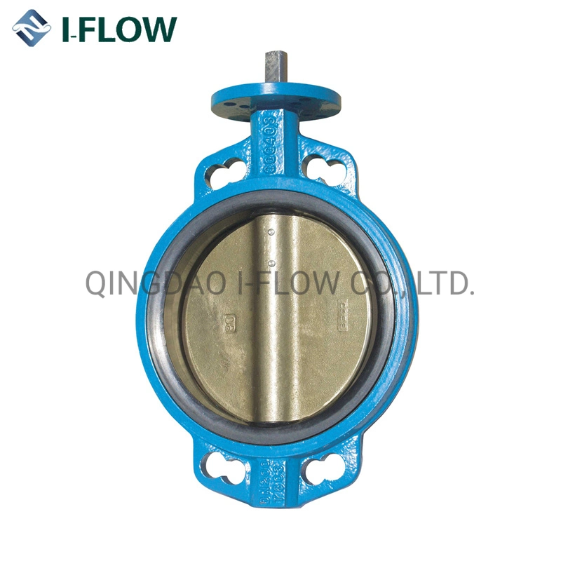 Cast Iron Steel Full PTFE Lined Flange End Wafer Type Butterfly Valve