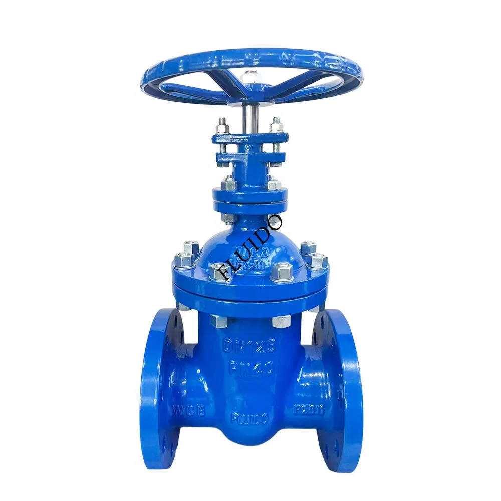 Dincast Iron Stainless Steel Floating Ss Brass Ball Gate Butterfly Control Swing Lug Check Angle Non-Return Globe Silent Valve Price Valves Manufacturer