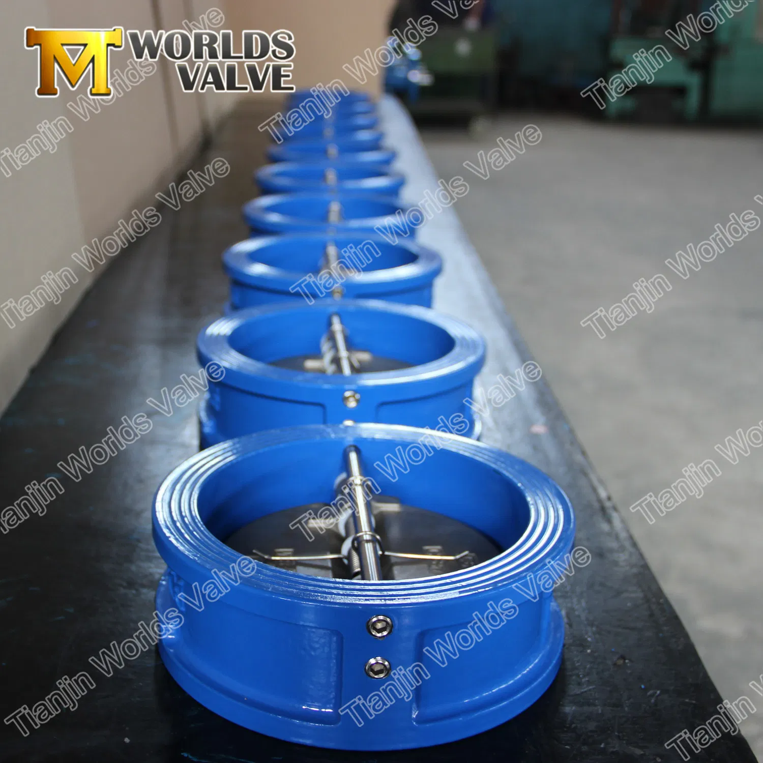 Casting Iron Wafer Type Double Door Dual Plate Check Valves Non Return Valve