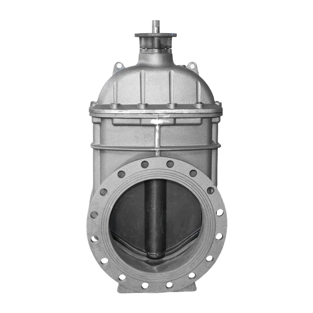 Detailed Valve Photo 1