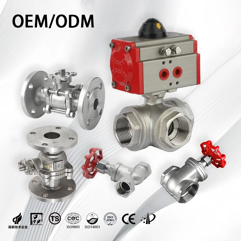 Stainless Steel/Industrial/Actuator/Water Use/3 Way/Check/Water Level Control/Globe/Reducing/Pneumatic/Float/Gate/Gas/Ball Valves Series for Gas