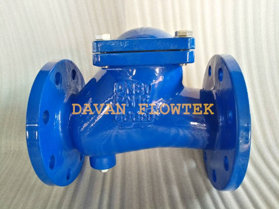 Cast Ductile Iron Flanged Dual Plate Check Valve (Flap Swing Ball Type)