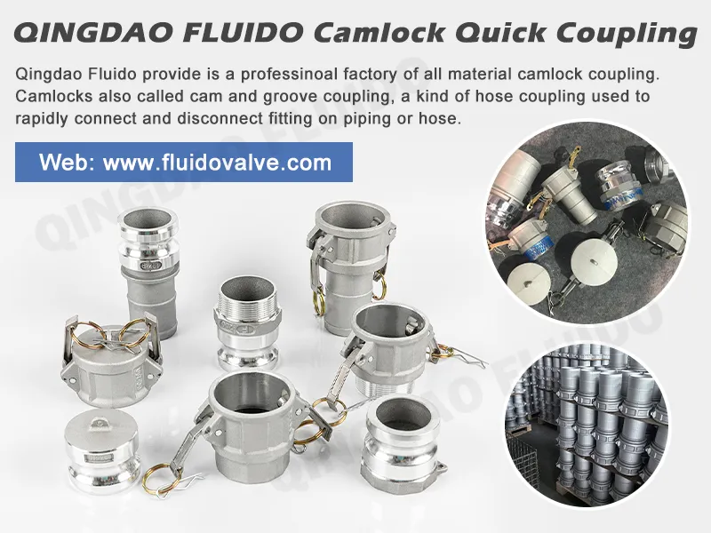 Camlock Coupling Display
