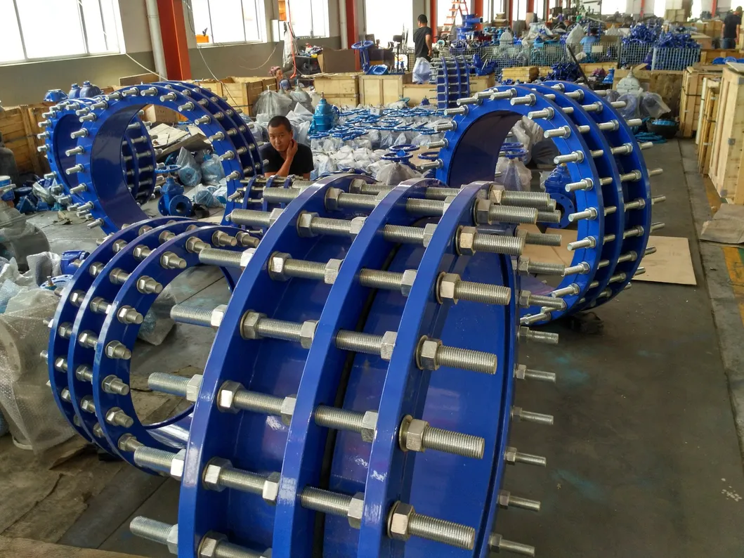 Butterfly Valve 15
