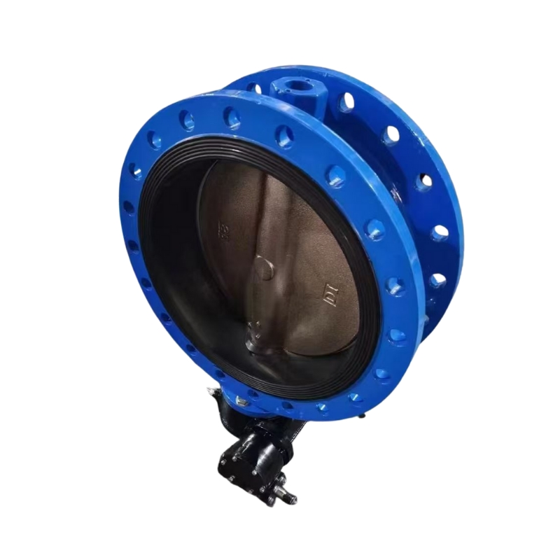 Ductile Cast Iron Double Disc Door Wafer Type Dual Plate Butterfly Check Valve for Oil Gas Connection