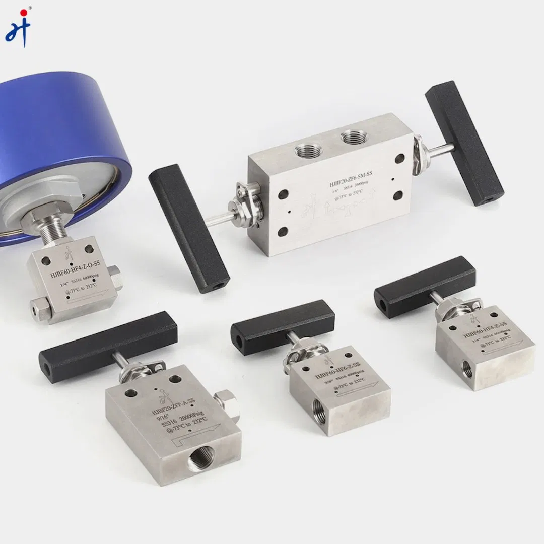 SS316 Ultra High Pressure Valve 30000psi Female Thread Stainless Steel Straight Connecting Needle Valve