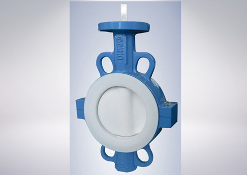 ANSI CF8 Di Ci EPDM PTFE Strong Acid Ductile Iron Lever Opreated Wafer Lug Butterfly Valve China Suppliers