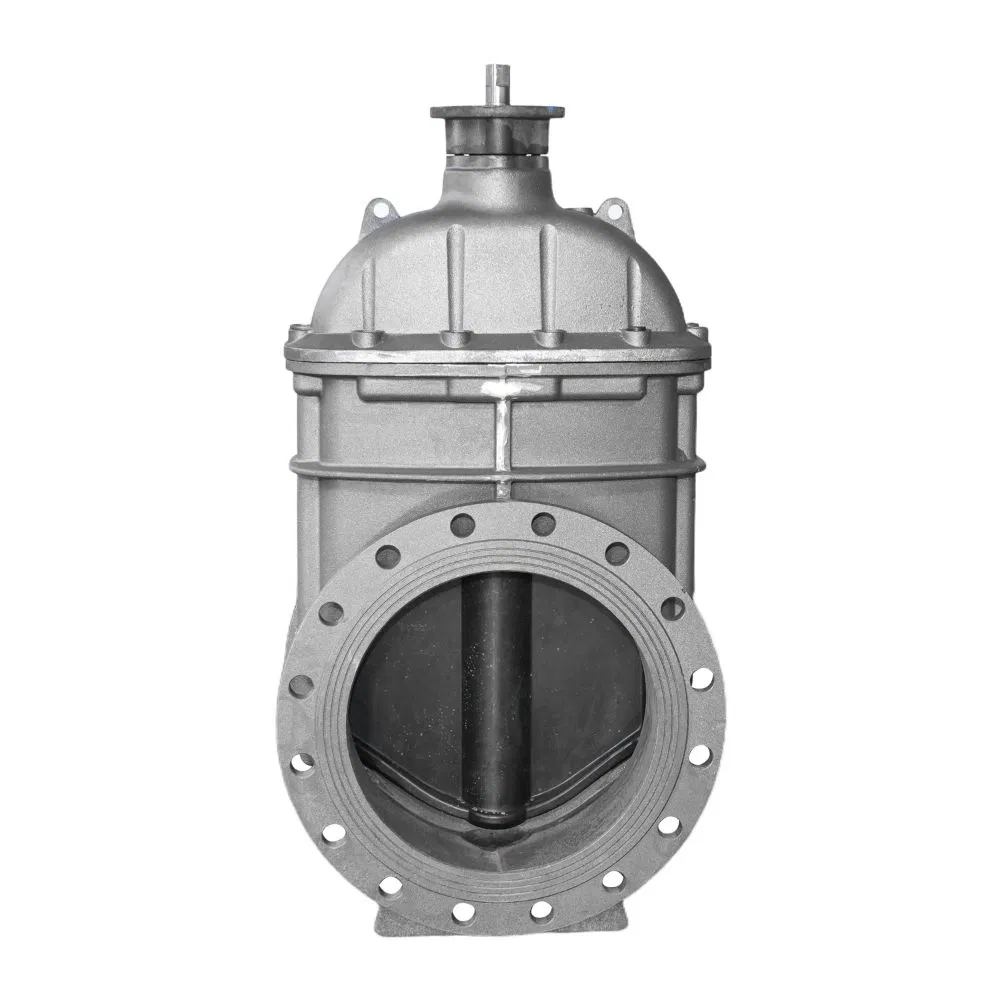 2026 New Series Design Resilient Seated Cast Iron Gate Valve /Industrial Valve /Gate Valve Good Price Btval