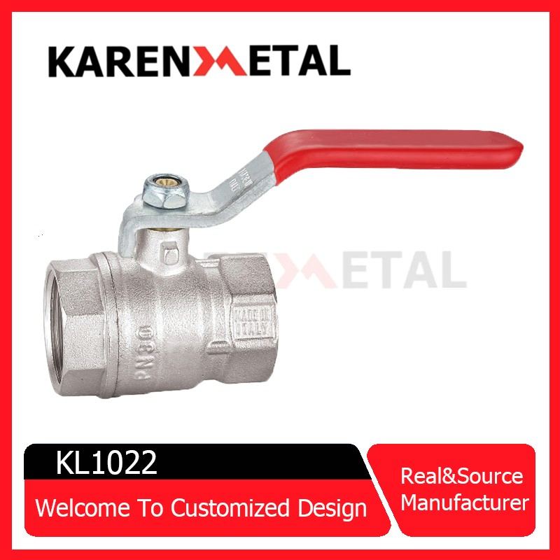 Brass Dzr Bronze Stainless Steel Cast Iron Ball Mini Gas Float Strainer Butterfly/Diaphragm/Control/Butterfly Globe/Penumatic/PVC Valve