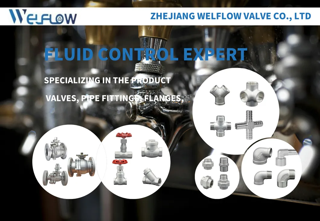 Stainless Steel Butt Welded Union