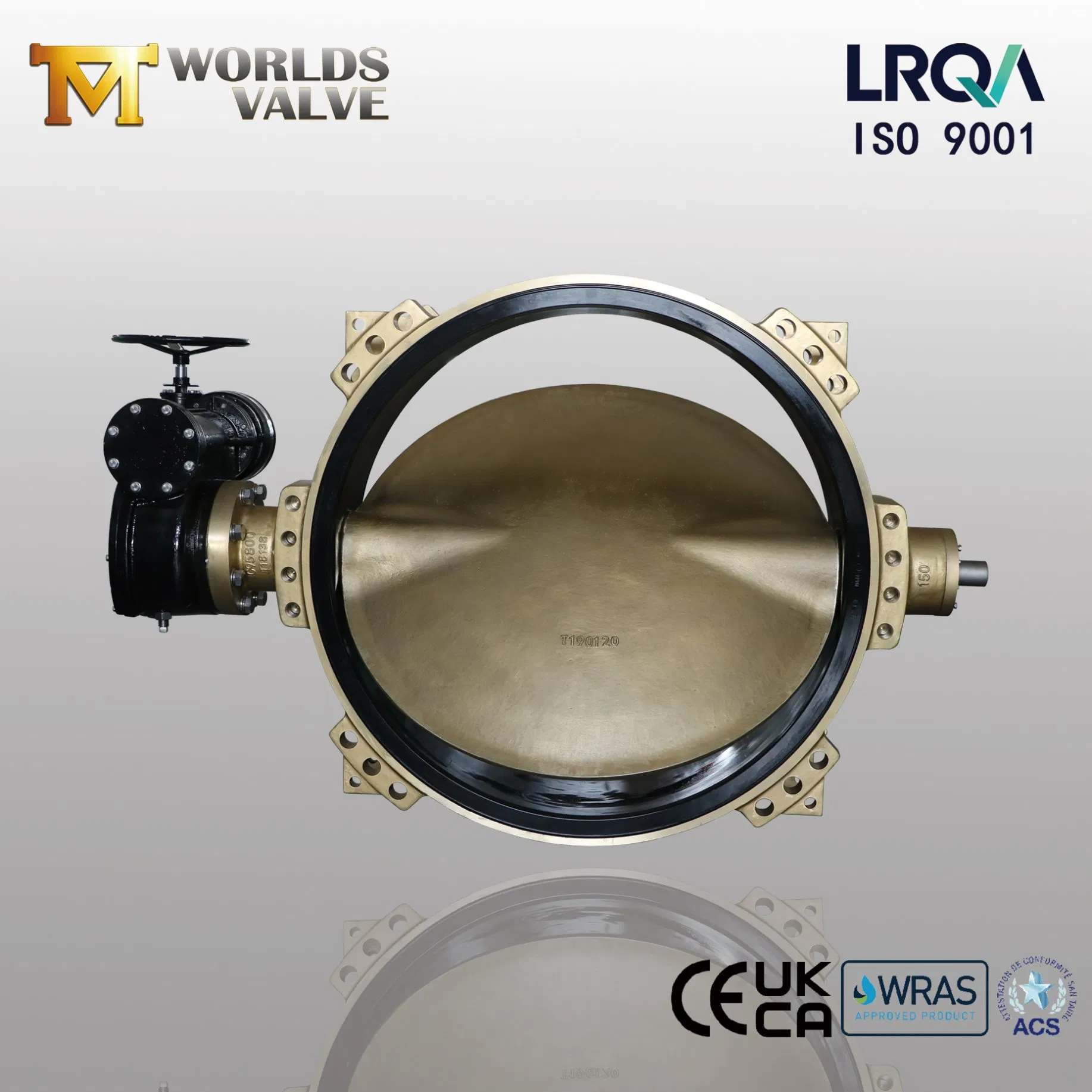 OEM ODM PTFE PFA Coaed Disc CF8 CF8m SS304 SS316 Wcb Bronze ANSI DIN JIS BS Standard Control Butterfly Valve Gate Valve Check Valve Y Strainer