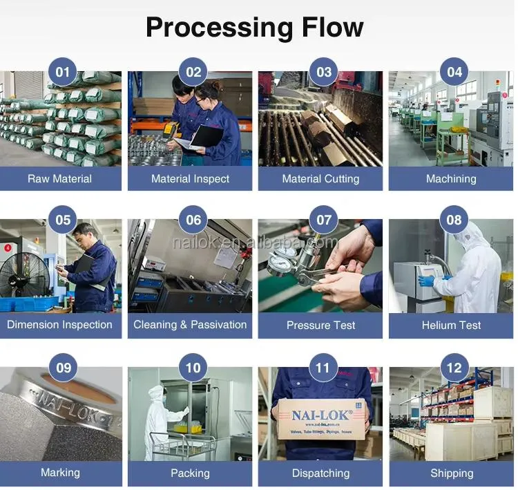 High Pressure Needle Valve 9