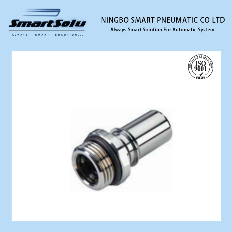 Lq8 Series Brass Quick Disconnect Straight Thread G/BSPP Cooling Push-to-Connect Coupling Body