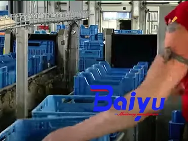 آلة غسيل الصناديق في بلغاريا