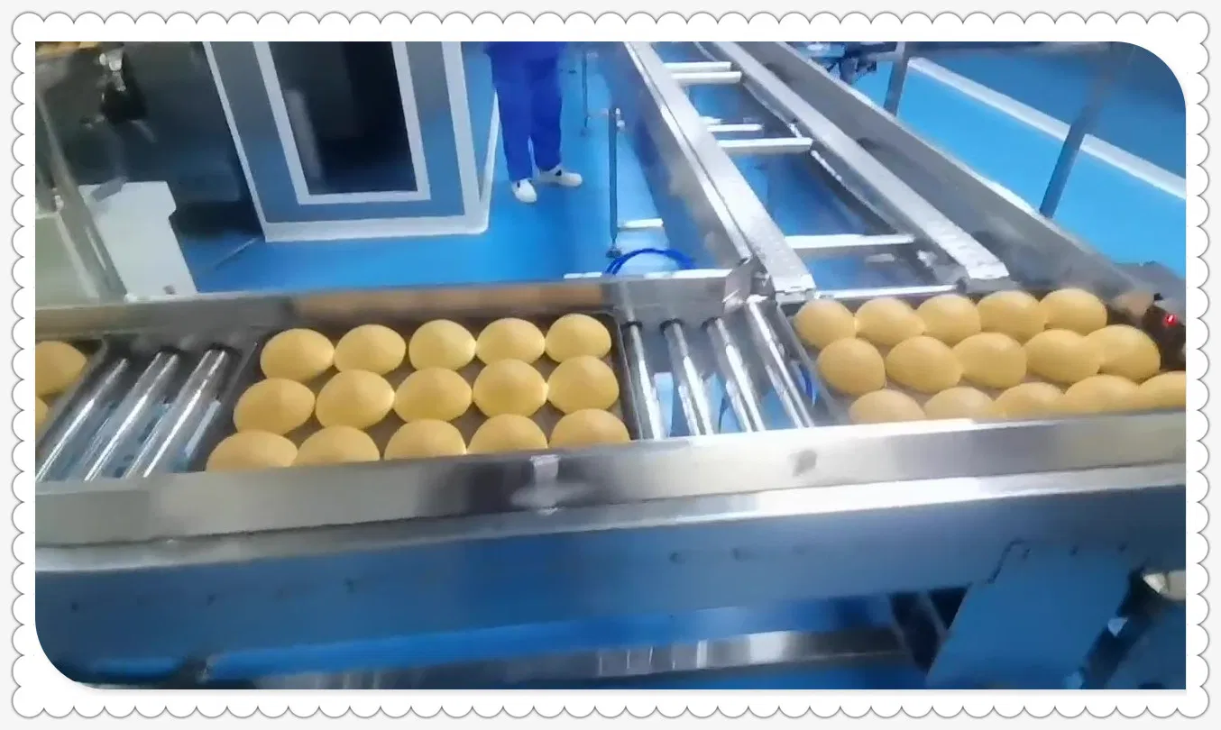 خط إنتاج كعك أوتوماتيكي عالي السعة لإنتاج الكعك في المخابز