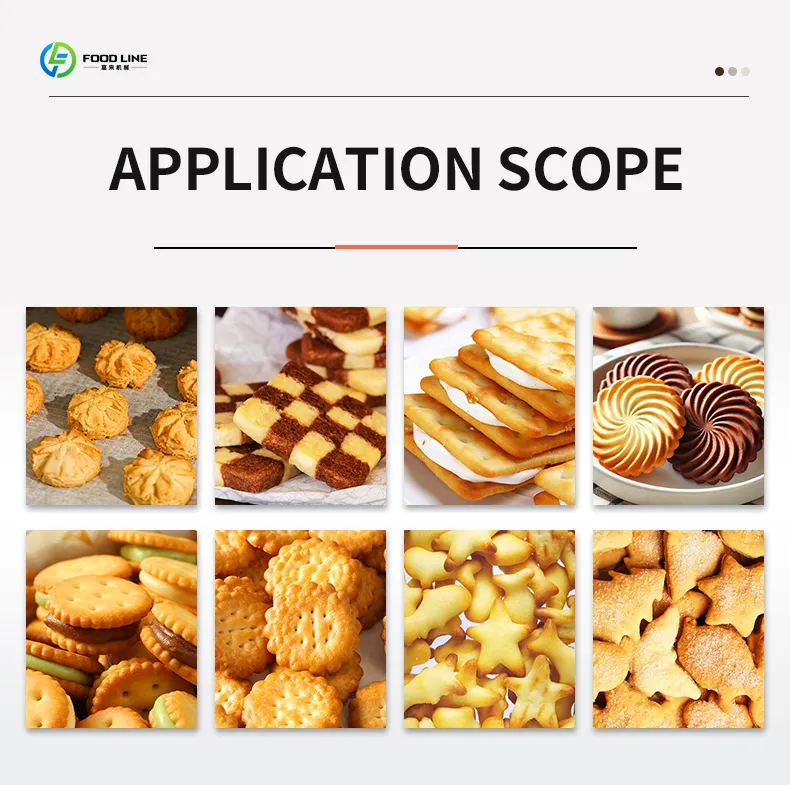 Biscuit Production Process 2