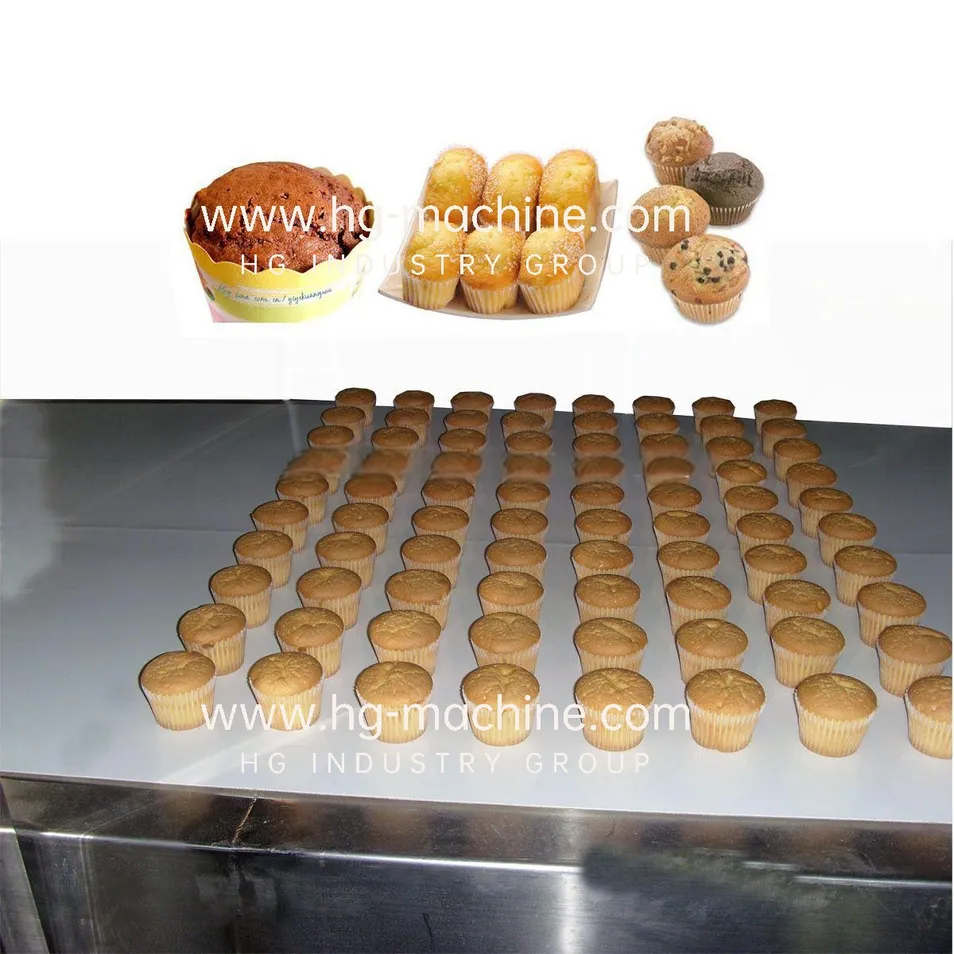 تفاصيل خط إنتاج الكعك