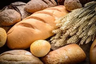 صناعة العجين لخبز الباجيت الفرنسي ماكينة تشكيل العجين بالجملة الصين