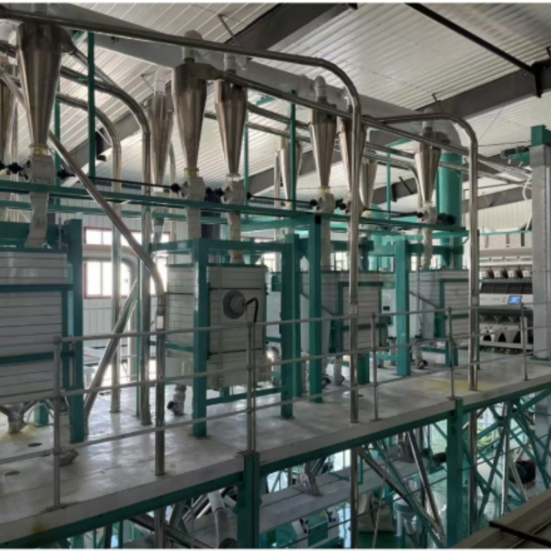 مصنع مطحنة القمح المتعددة الاستخدامات 60tpd-80tpd لإنتاج أنواع مختلفة من الدقيق