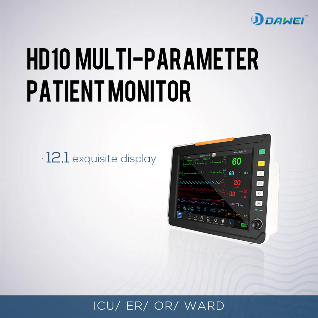 Portable Patient Monitor