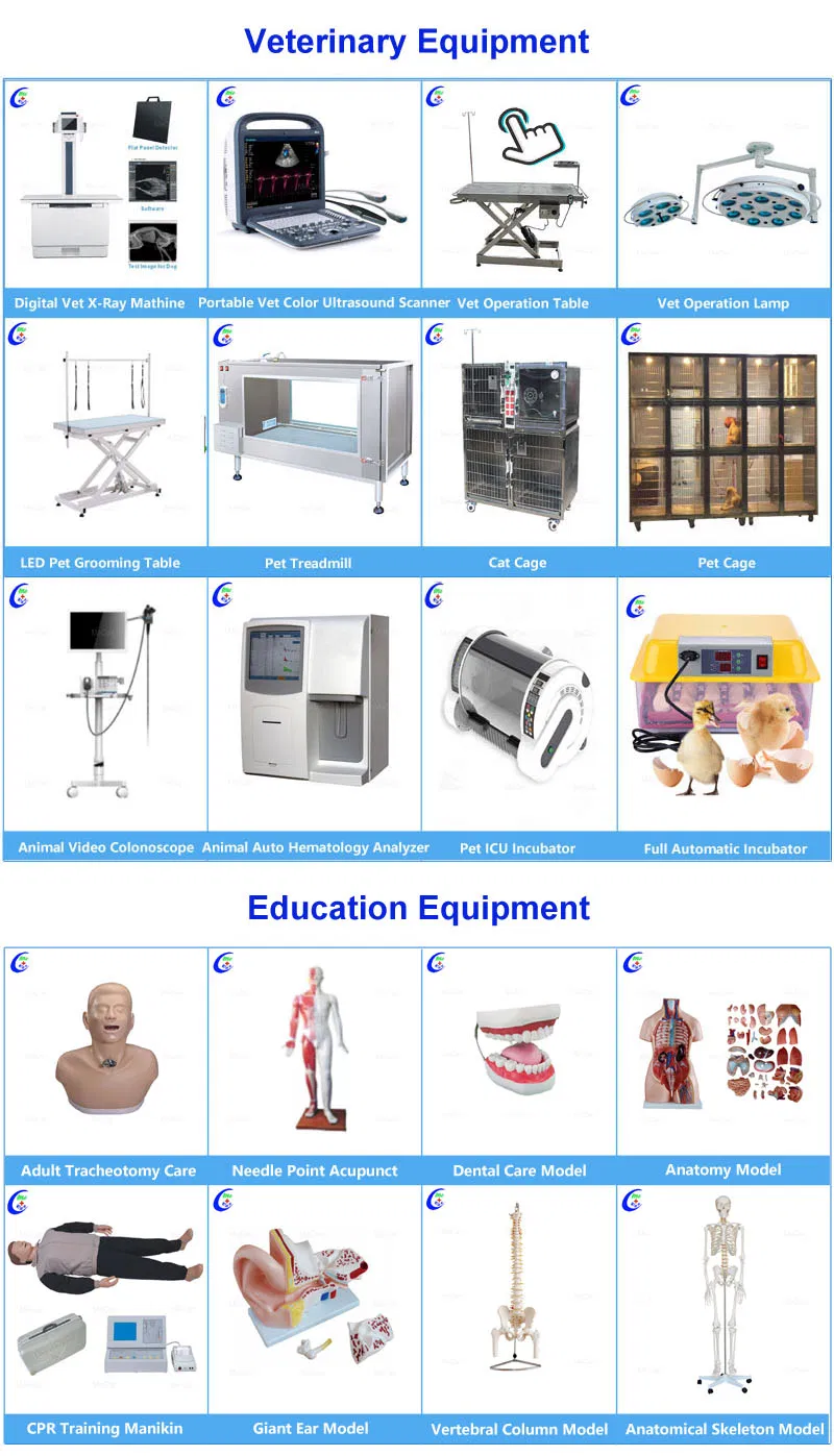 Veterinary and Education