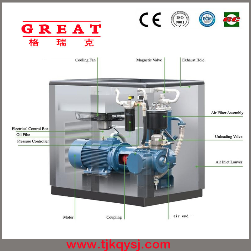 Industrial Silent/Mute Medical Dry Oilless Direct Drive/Coupling Rotary Double Screw Type Air Compressor for Sale