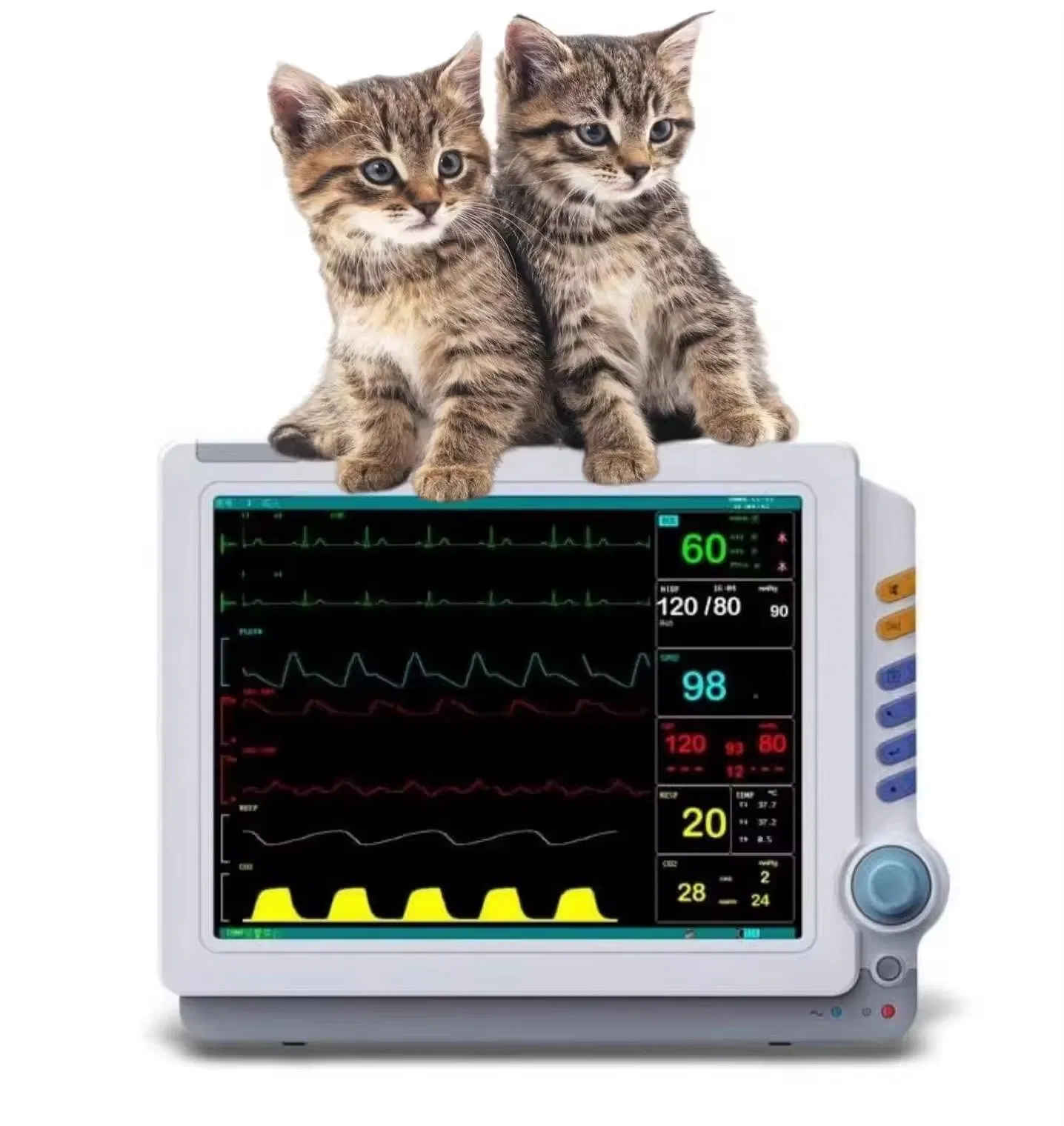 Medical Pet Remote Patient Monitoring Devices Pr ECG Temp SpO2 NIBP Hr Resp 12 Inches Patient Monitor