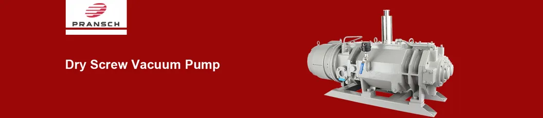 DSE1100 Dry Screw Vacuum Pump Overview