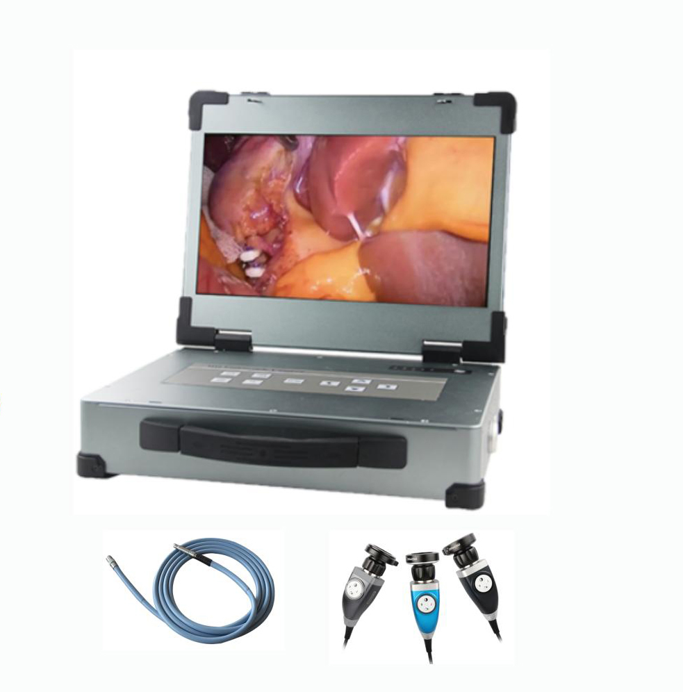 Medical Ent/Urology/Arthroscopy/Laparoscopy/Hysteroscopy/Spine HD Endoscope Camera System with CE