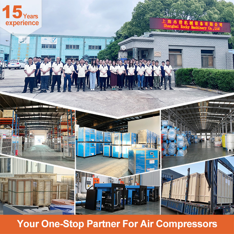 Industrial Oil-Free Scroll Air Compressor RO-44A for Medical Applications