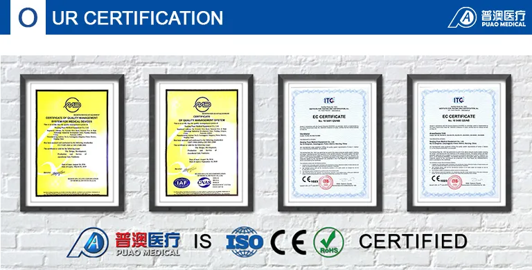 Back View and Connections