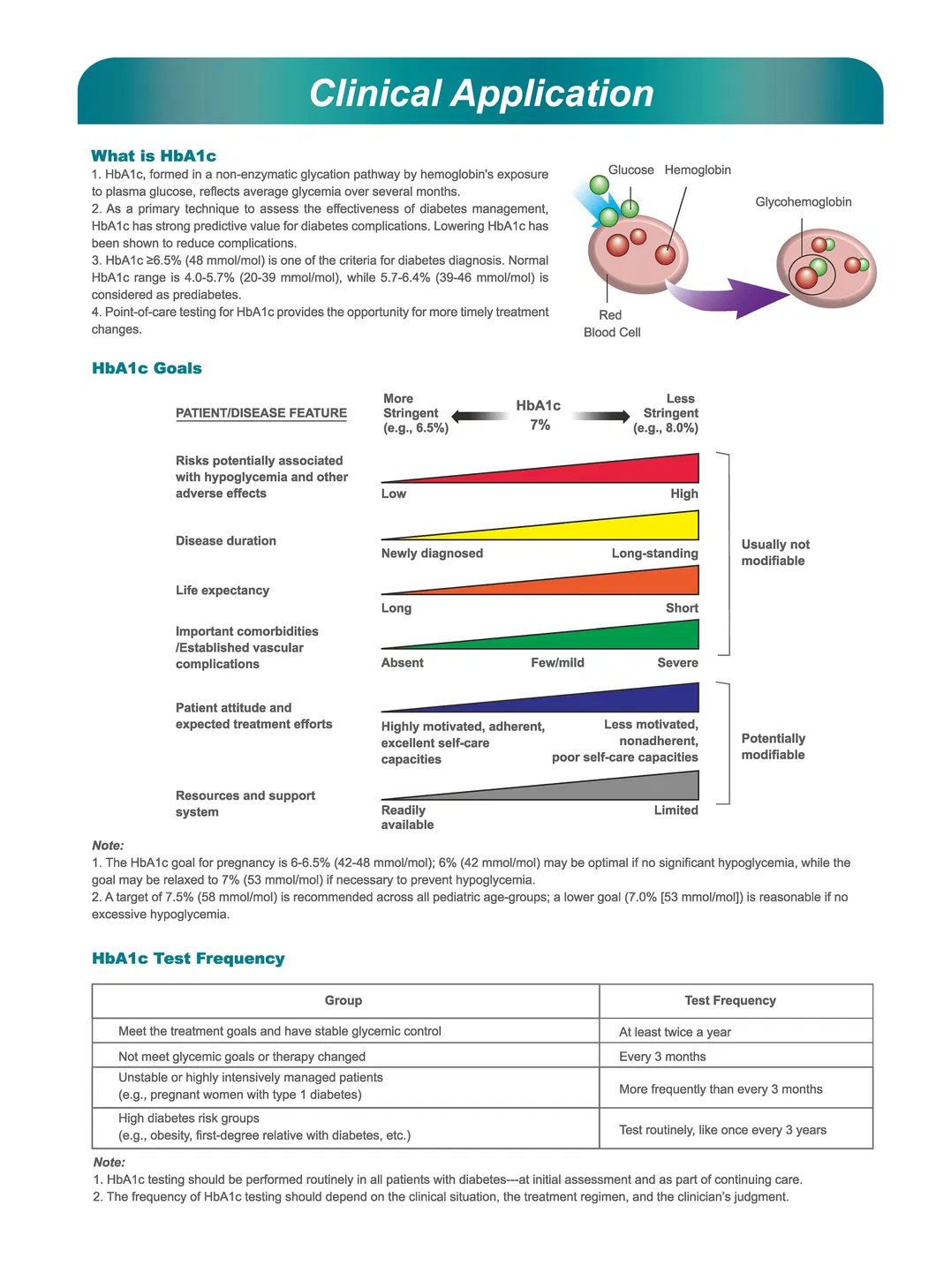 Analizador HbA1c